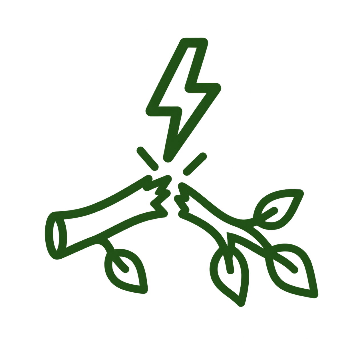 Emergency tree service